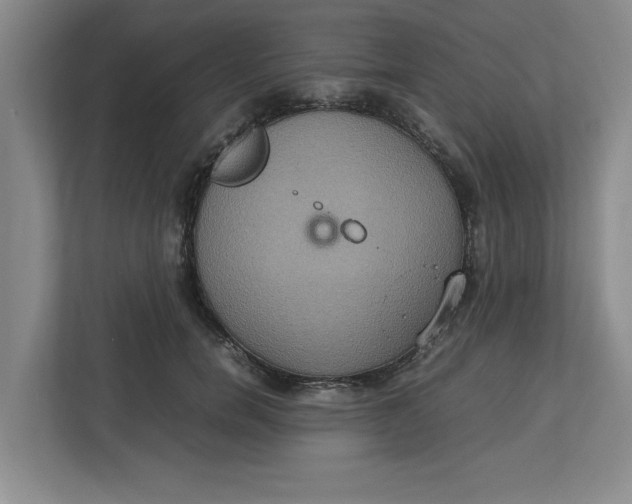 X0000112950750200909141407