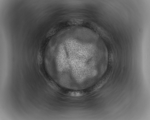 X0000112950751200909141407