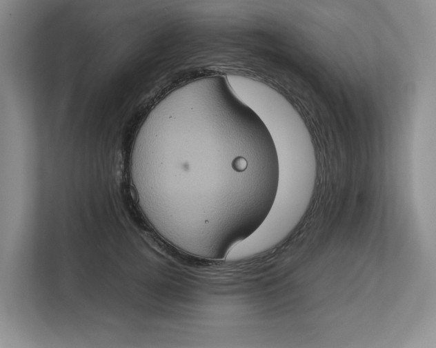 X0000112950752200909141407