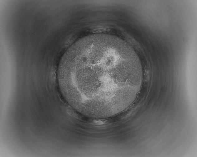 X0000112950753200909141407