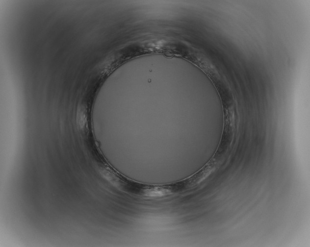 X0000112950754200909141407