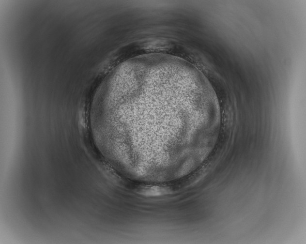 X0000112950755200909141407