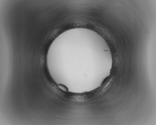 X0000112950756200909141407