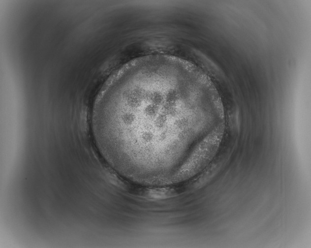 X0000112950757200909141407