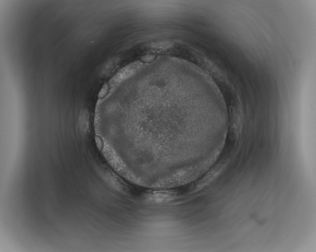 X0000112950758200909141407