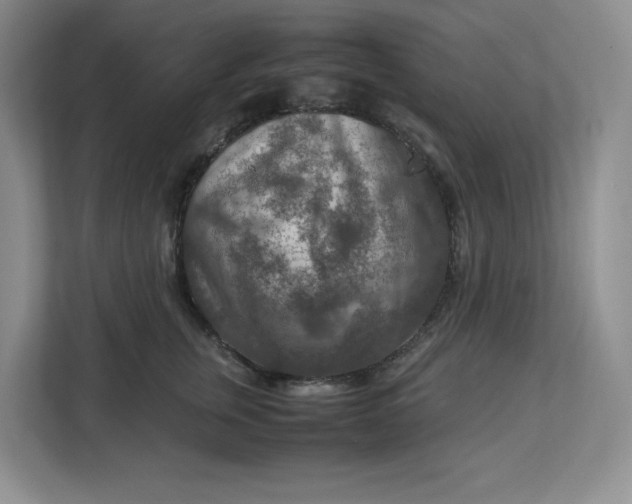 X0000112950759200909141407