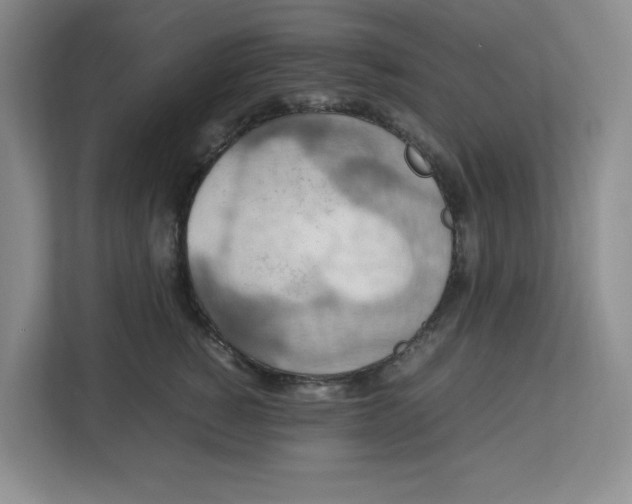 X0000112950760200909141407