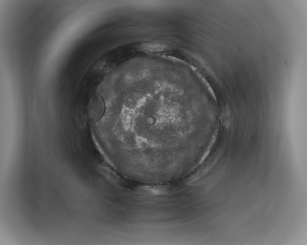 X0000112950763200909141408