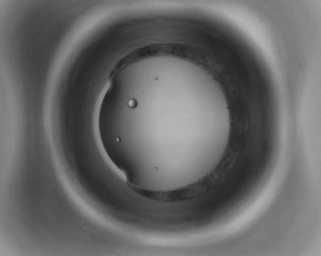 X0000112950766200909141408