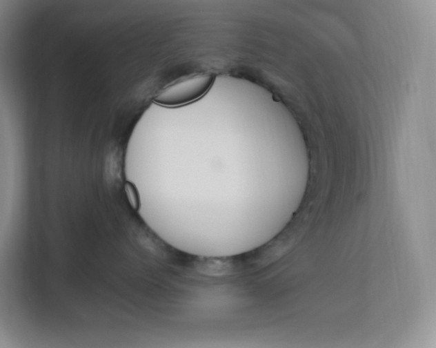 X0000112950768200909141408