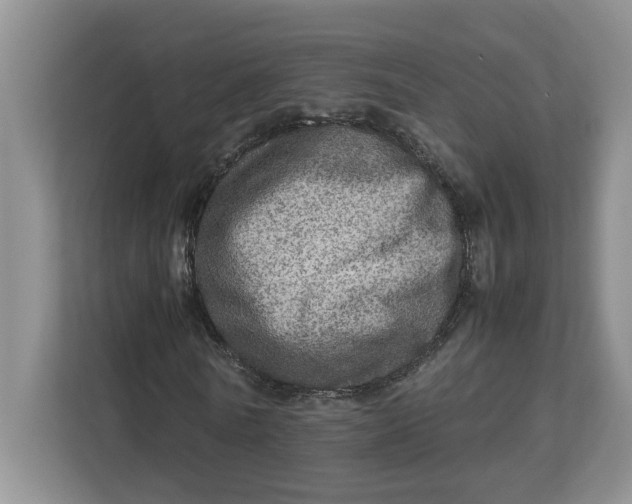 X0000112950770200909141407