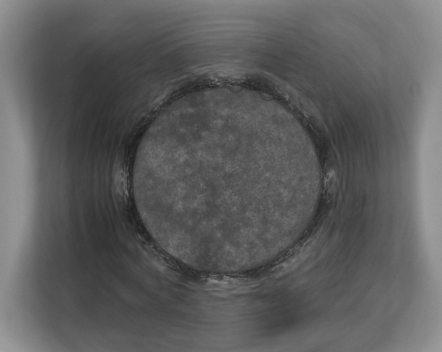 X0000112950772200909141407