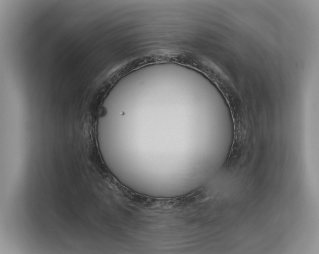 X0000112950773200909141407