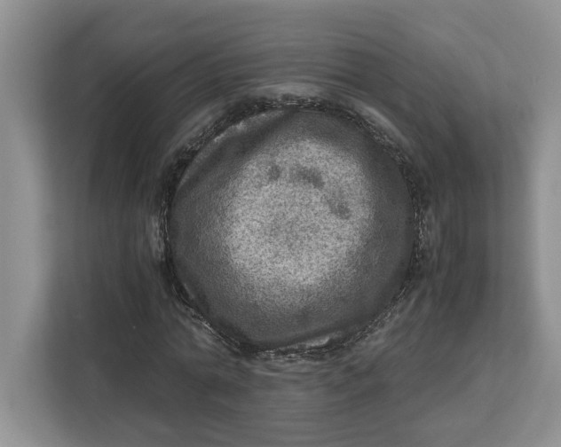 X0000112950774200909141407