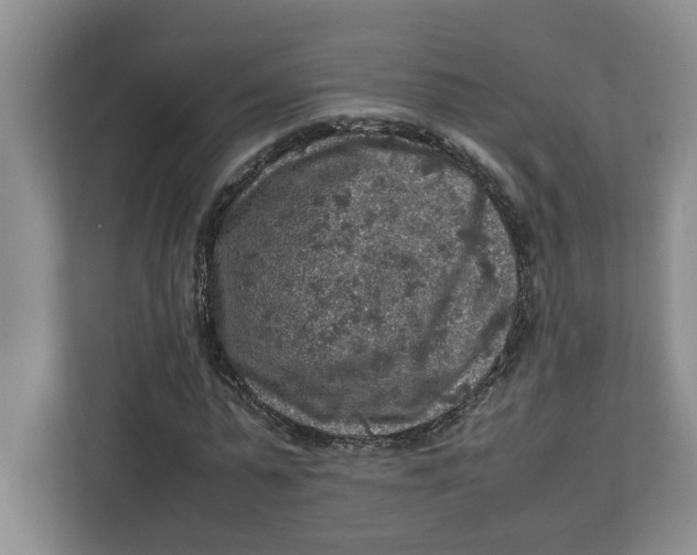 X0000112950775200909141407