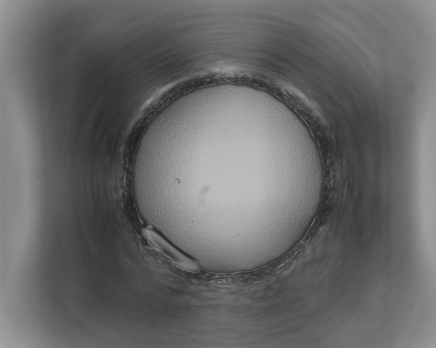 X0000112950776200909141407