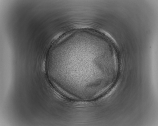 X0000112950777200909141407