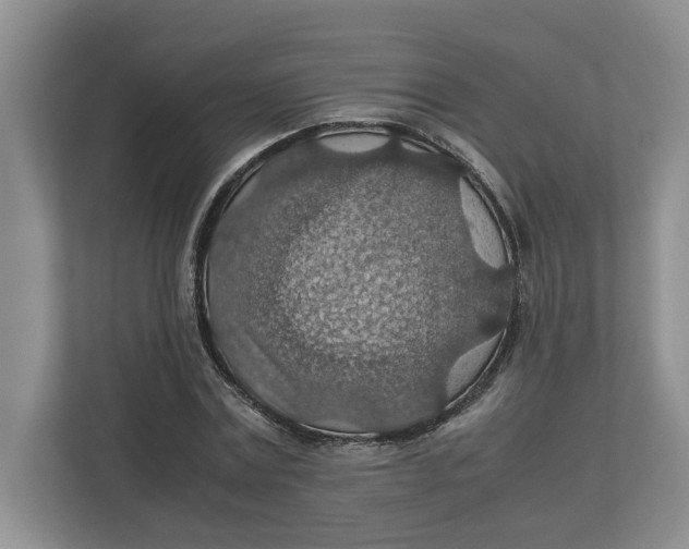 X0000112950779200909141407