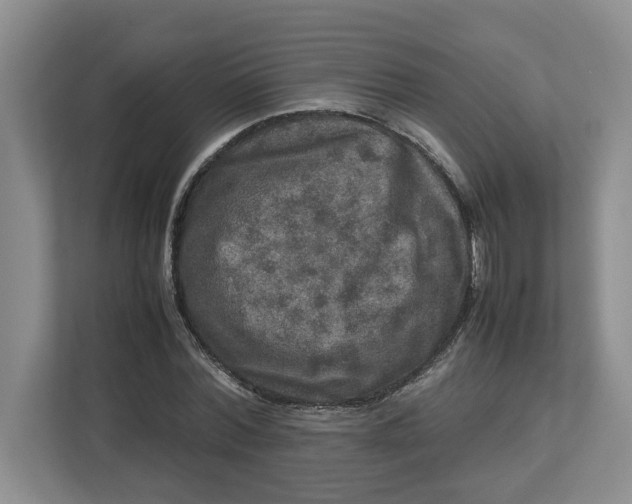 X0000112950780200909141407