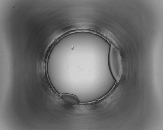 X0000112950781200909141407