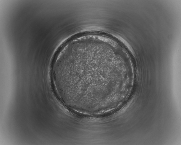 X0000112950783200909141407