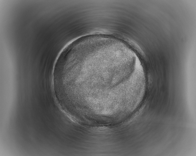 X0000112950784200909141407