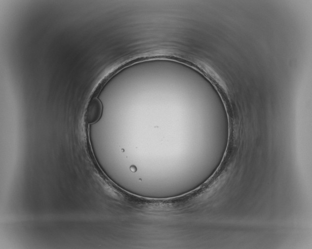 X0000112950789200909141407