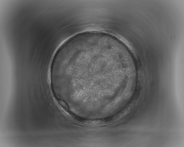 X0000112950791200909141407