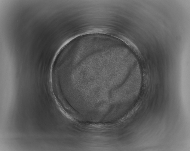 X0000112950792200909141407