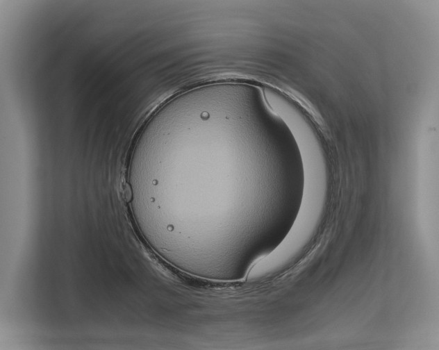 X0000112950793200909141407