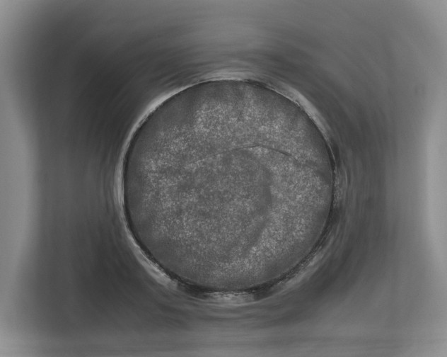 X0000112950795200909141407