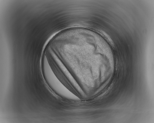 X0000112950796200909141407