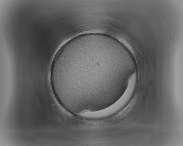 X0000112950797200909141407