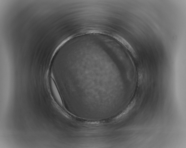 X0000112950798200909141407