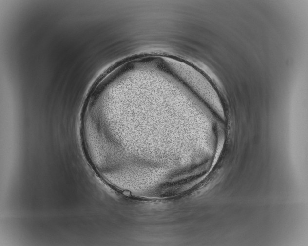 X0000112950799200909141407