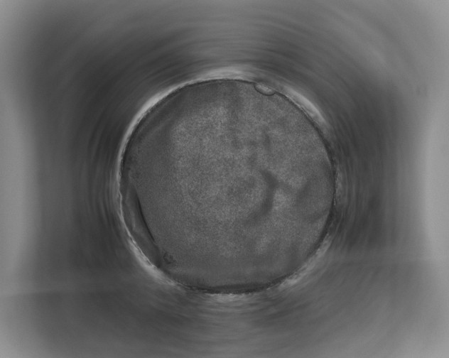 X0000112950800200909141406