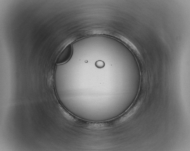 X0000112950801200909141406