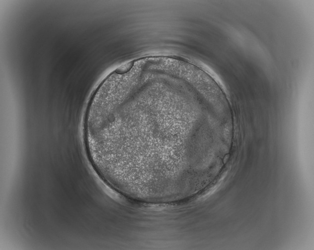 X0000112950803200909141406