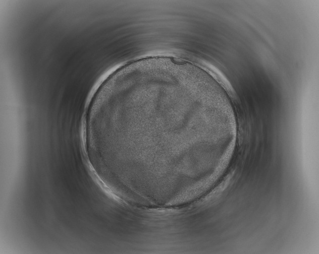 X0000112950804200909141406