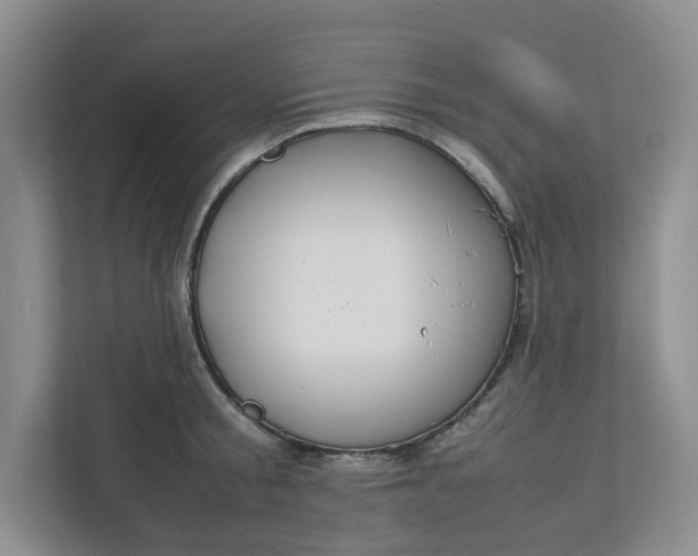 X0000112950805200909141406