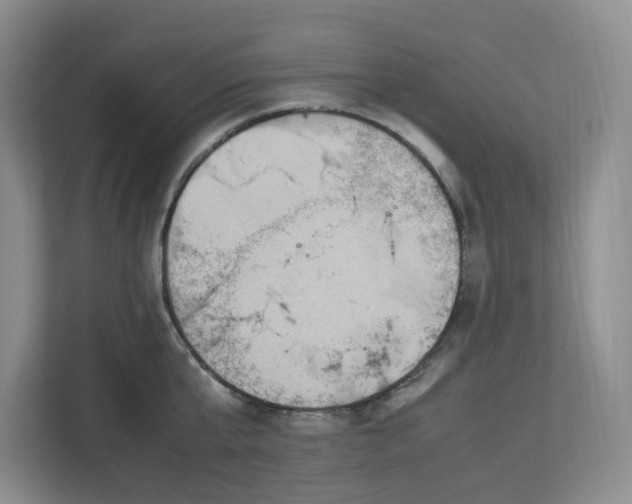 X0000112950807200909141406