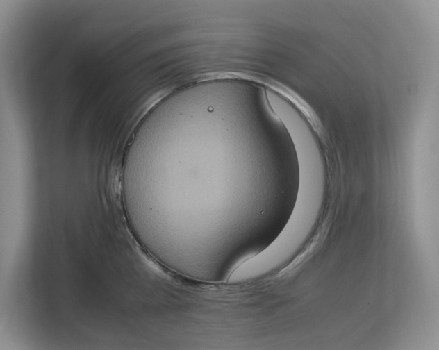 X0000112950809200909141406