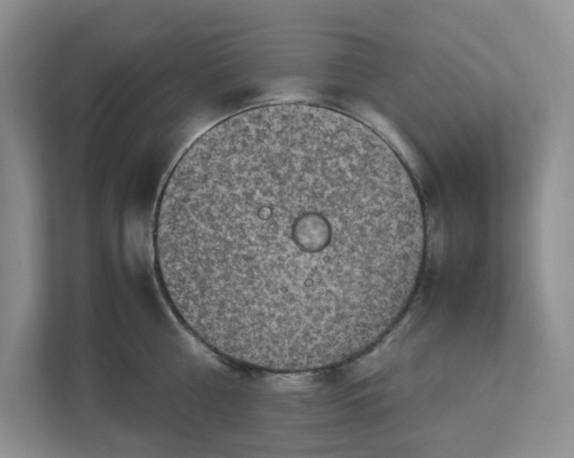 X0000112950810200909141406