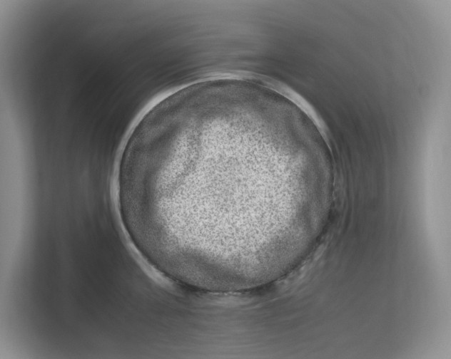 X0000112950811200909141406