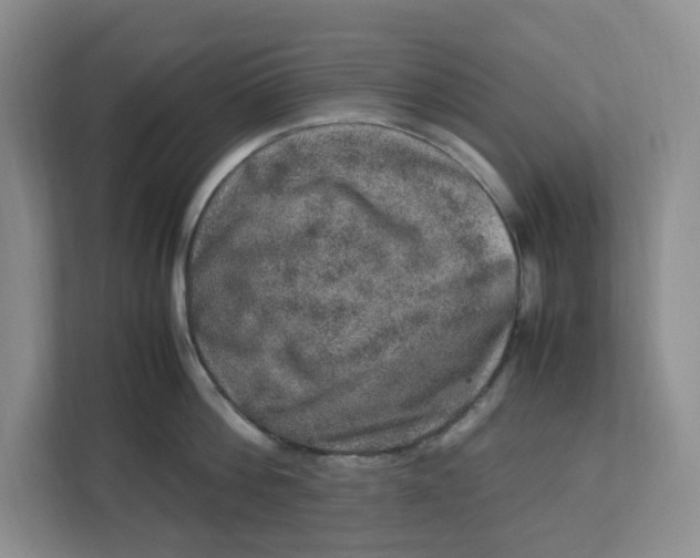 X0000112950812200909141406