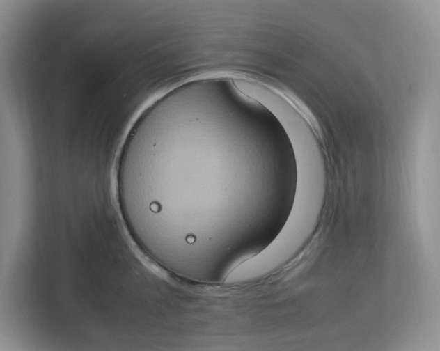 X0000112950813200909141406