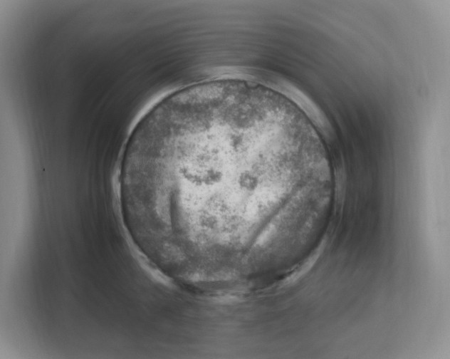 X0000112950814200909141406