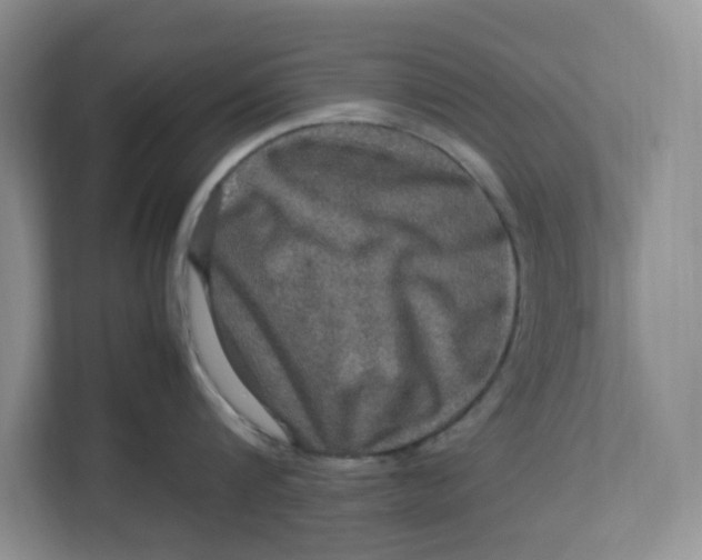 X0000112950816200909141406