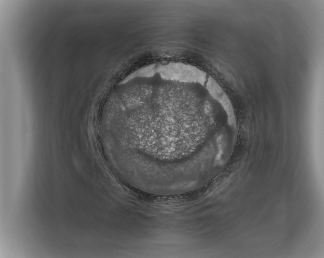 X0000112950817200909141406