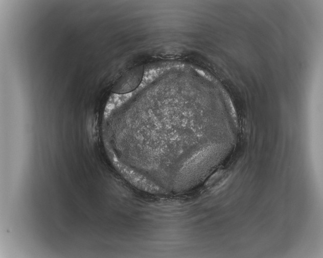 X0000112950818200909141406